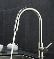 Robinet de cuisine extractible sans plomb en acier inoxydable 304 (SS30)