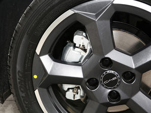 Eagull para eagull - Product Image 3