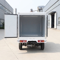 Camionnette fermée à basse vitesse avec caisse de chargement, mini-camion électrique de fret, 2 places, véhicule utilitaire électrique à énergie nouvelle