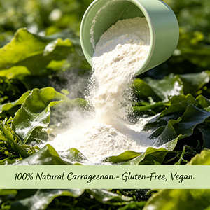 Carragenano en Polvo <span class=keywords><strong>E407</strong></span> Kappa Iota, Agente Gelificante para Gelatina, Dulces, Gomitas, Confitería, Grado Alimenticio, Vegano, Halal, Kosher, Bolsa de 25 kg - Product Image 3