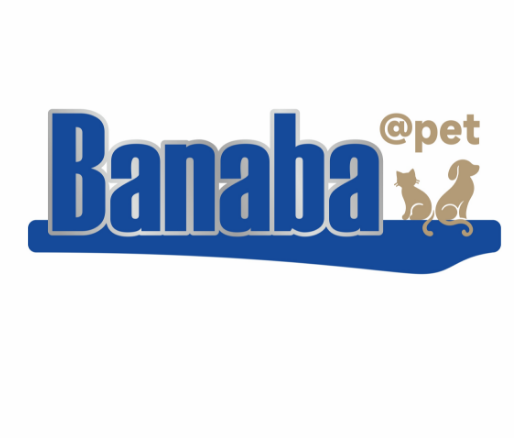 Qingdao Banaba Manufacture Tools Ltd. logo