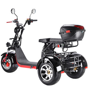 <span class=keywords><strong>Batterie</strong></span> <span class=keywords><strong>amovible</strong></span> bonne qualité conduite sécuritaire 1500w 60v12ah <span class=keywords><strong>3</strong></span> roue électrique tricycle <span class=keywords><strong>scooter</strong></span> pour personnes âgées modèle CP-<span class=keywords><strong>3</strong></span>.0 - Product Image 4
