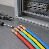 Fil de cuivre flexible H07V-R 450/750V pour le câblage de systèmes de test et de montage de lignes de production en usine de gabarits de précision