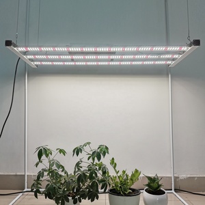 Liweida 300 <span class=keywords><strong>Watt</strong></span> <span class=keywords><strong>Full</strong></span> <span class=keywords><strong>Spectrum</strong></span> <span class=keywords><strong>Led</strong></span> Grow Lights <span class=keywords><strong>3</strong></span> Bar Lm301b Trắng Mix 660nm Thực Vật Đèn Cho Thủy Canh Làm Vườn Trong Nhà Cây - Product Image 5