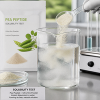 Poudre de Peptide de Pois en Gros, Ingrédient Protéiné Végétal de Haute Pureté pour Aliments, Boissons, Compléments et Aliments Fonctionnels