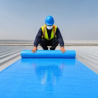 Rouleau imperméable en TPU Nano pour la réparation des toitures en tuiles d'acier colorées