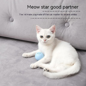 DRESSPET mewah 2023 grosir <span class=keywords><strong>Catnip</strong></span> mainan kunyah Aksesori kucing tahan gigit berkelanjutan dan menyenangkan untuk kucing anak-anak Dropshipping - Product Image 5