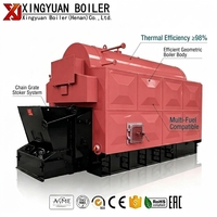 Ketel Uap Biomassa Xingyuan Horizontal Industrial Otomatis DZL 2.5 Ton/jam Berbahan Bakar Batubara/Serpihan Kayu/Serat Jerami