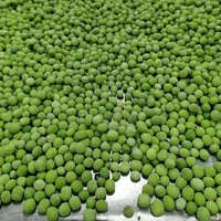 Vente chaude IQF Frozen Green Beans Ace Produits de Chine à bas prix