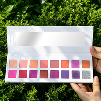 Palette de fards à paupières DIY à haute pigmentation, marque privée, couleurs nude mates et pailletées, maquillage pour les yeux