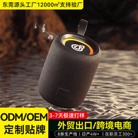 Enceinte sans fil portable d'extérieur, subwoofer étanche, lumière d'ambiance rythmique, système audio avec lecteur de carte