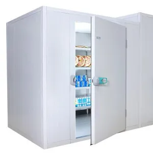 Chiller room for storage food, customized cold room for sale