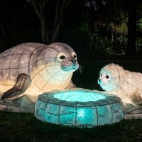 Decoración de Faroles con Forma de Grandes Animales Marinos para Parques de Diversiones, Navidad, Uso Interior/Exterior, Espectáculo de Luces para Parques Temáticos
