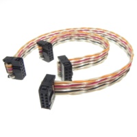 Maßgefertigter 2x5 10-Pin 2,54mm Rastermaß PVC-Verbinder für 1,27mm Rastermaß AWM 2651 Twisted-Pair Regenbogen-Flachkabel IDC Flachstromkabel