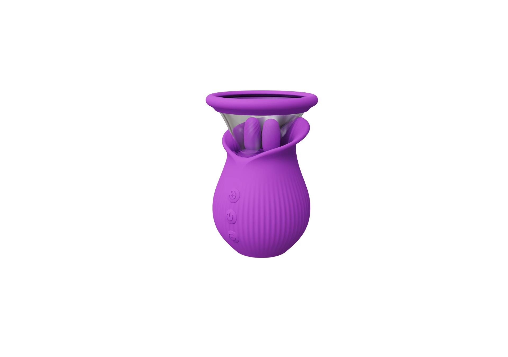 Viola