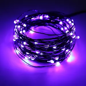 Popular Indoor Halloween LED Fairy Copper Wire Lights Holiday Decorative LED Decoration Lights