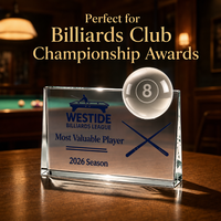 Trofeo de Billar Personalizado con Cristales Deslumbrantes, Marco Negro para Bola 8, Placa en Forma de Cuña, Grabado Circular, Premio de Campeonato de Club, Recuerdo