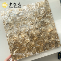 Vente chaude de mosaïques en coquillages naturels 300*300mm pour le hall d'hôtel, le mur de l'appartement, la chambre à coucher, la buanderie, les carreaux décoratifs d'intérieur
