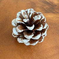 UMIN Kerucut Pinus Alami Berlapis Salju 5-6cm 6Pcs/Kantong Ornamen Kering Rustic untuk Kerajinan DIY Pengisi Karangan Bunga Gantung Natal