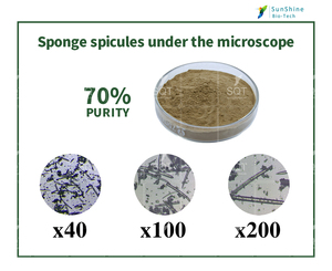 Espículas de Esponja SQT de Spongilla Lacustris para Uso Cosmético, Polvo Puro Natural Hidrolizado, Algas Exfoliantes de Esponja - Product Image 4