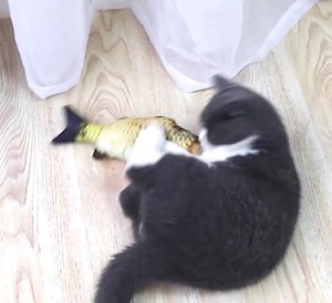 โปรโมชั่นขายดียูเอสบีชาร์จฟล็อปปี้ดิสก์ปลาแมวของเล่นแมวรวมแมวของขวัญที่ล้างทำความสะอาดได้ - Product Image 3