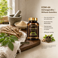 Capsules d'Ashwagandha KSM-66 Naturelles 600mg Marque Privée OEM/ODM – Favorise la Réduction du Stress et la Vitalité Masculine pour Adultes