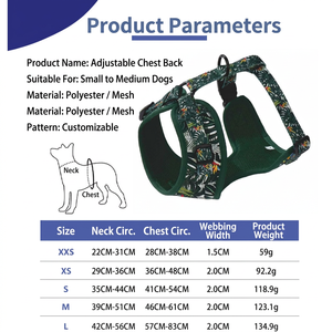 Ensemble laisse et harnais pour chien Nanea Tropical avec bandana à nœud papillon - Product Image 3