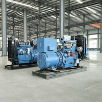 Generator Diesel Terbuka Anti Korosi dengan Rangka Galvanis, Cocok untuk Penggunaan Teknik Konstruksi di Area Lembab Pesisir