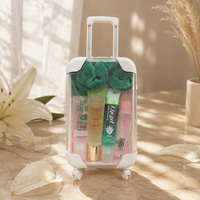 Emballage de gloss à lèvres fait main avec logo personnalisé, mini-coffret mignon en plastique ABS recyclable, échantillon gratuit, faible MOQ