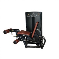 Machine 2-en-1 de curl et extension des jambes assis, 3+3 positions, pile de poids de 80,25 kg, pour salle de sport commerciale