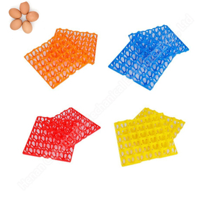 Plastic Quail <b>Egg</b> Tray 30 Cells Plastic <b>Egg</b> Trays <b>Molds</b> <b>Egg</b> Transport Trays - Product Image 1