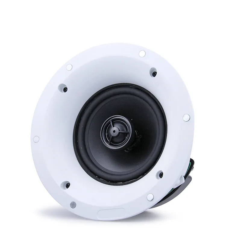 Factory Supplier HI-FI Ceiling Speaker with bluetooth 20W5 inch for home theater