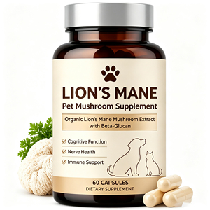 Complément alimentaire biologique à base de champignons Lion's Mane avec vitamine B12 pour soutenir la cognition et le système nerveux des chats et des chiens - Product Image 1