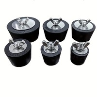 Bouchon anti-gel pour tuyau de piscine d'hiver, bouchon en acier inoxydable robuste, bouchon d'expansion en caoutchouc, accessoires de piscine, couverture de piscine