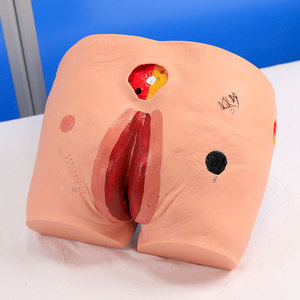 Modelo para el Cuidado <span class=keywords><strong>de</strong></span> Úlceras por Presión (escaras) - Modelo para la <span class=keywords><strong>Limpieza</strong></span> <span class=keywords><strong>de</strong></span> Escaras en Personas Mayores - Product Image 3