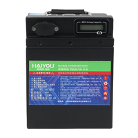 Batterie lithium-ion 48V 15Ah écologique, sans pollution et à cycle de vie efficace, cellules Lifepo4 portables et durables