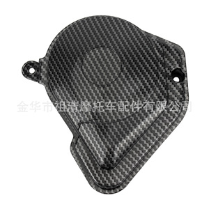 Zuqing – couvercle décoratif de moteur, coque latérale en Fiber de carbone pour moto Tanli MX3 MX4 TL116 - Product Image 4