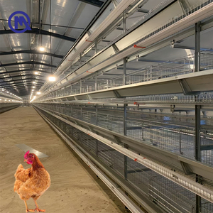 Sistema de Jaulas Tipo H para Gallinas Ponedoras, Jaula de Batería para Granja Avícola, Acero Galvanizado, <span class=keywords><strong>Alambre</strong></span> de Acero Bajo en Carbono, 1 Año de Garantía - Product Image 1