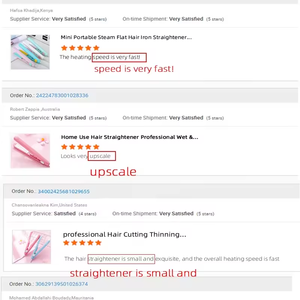 Mini fer plat chauffant en céramique 2 en 1 pour hommes et femmes, fer à lisser, fer à friser à bas prix - Product Image 2