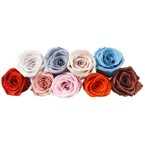 PRB14 <span class=keywords><strong>Mejor</strong></span> <span class=keywords><strong>calidad</strong></span> hecho a mano Real Touch Preserved Rose Head Flower Sweet 4CM Rose para la graduación Navidad Acción de Gracias - Product Image 4
