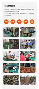 Aftermarket Robotic <b>Lawn</b> <b>Mower</b> Parts Plastic <b>Blade</b> 198426-9 184L DUR187U DUR189 DUR190L DUR190U DUR191L DUR191U DUR364L Black 1 - Product Image 4