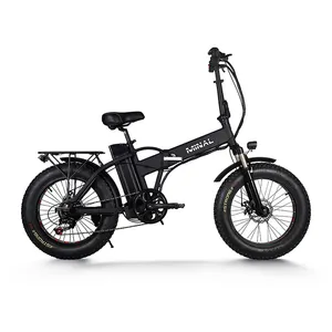 20 인치 전기 e 자전거 접이식 350w/750w/1000w 48v 10.5Ah 전기 지방 자전거 전기 fatbike