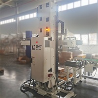 Machine de palettisation de cartons LWT à grande vitesse et faible coût pour l'alimentation et le tabac, automatique, à colonne unique, de haute précision, pour la manutention de caisses, électrique
