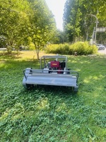 Tondeuse à fléaux de 800 mm, 1000 mm, 1200 mm, tondeuse à gazon à chenilles télécommandée avec certificat CE EPA pour les travaux de broussailles