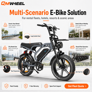 QMWHEEL V20 Limited, Bicicleta Eléctrica 48V, Bicicleta Todoterreno para Adultos, Proveedor Mayorista de Bicicletas Eléctricas, Suministro de Fábrica - Product Image 1