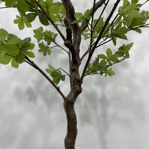 Planta colgante de Enkianthus artificial con maceta blanca minimalista, árbol colgante de imitación para sala de estar, oficina, dormitorio - Product Image 5