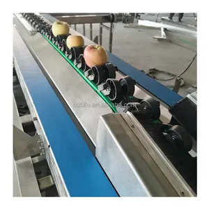 blueberry sorting machine mango weight grading machine fruit color selection machine