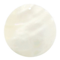 Lot de 10 Perles Libres Multi-Formes en Coquillage, Nacre, Os Blanc Nacré et Corail pour Bricolage