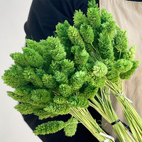 Yunnan gros coloré immortel gemme herbe préservée fleurs et plantes pour Arrangement de fleurs décoration Bouquet faisant