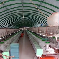 Grande serre en plastique pour l'élevage de bétail et de volailles, idéale pour l'élevage de porcs, moutons, poulets et l'agriculture tunnel.